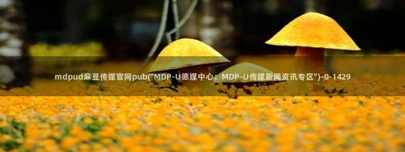 麻豆传媒官网明星：mdpud麻豆传媒官网pub(\