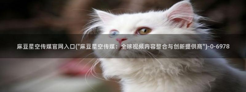 麻豆文化传媒 官网：麻豆星空传媒官网入口(\