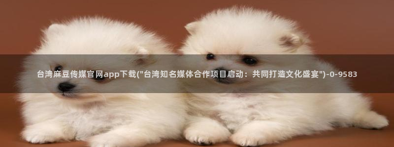 麻豆国产传媒官网：台湾麻豆传媒官网app下载(\