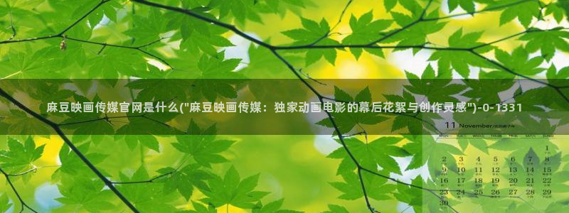麻豆传媒官网多少啊：麻豆映画传媒官网是什么(\