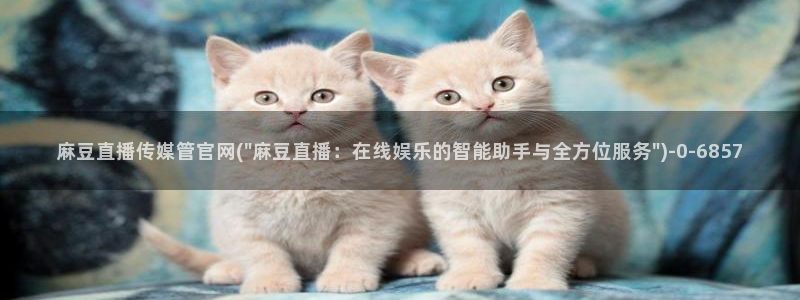 麻豆影像传媒官网地址：麻豆直播传媒管官网(\