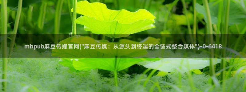 麻豆传媒官网番号：mbpub麻豆传媒官网(\
