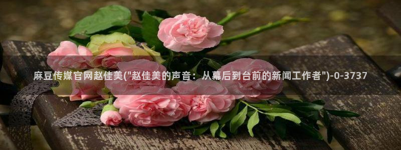 麻豆传媒官网首页入：麻豆传媒官网赵佳美(\