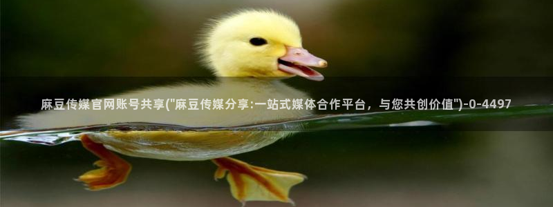 麻豆传媒官网 在线：麻豆传媒官网账号共享(\