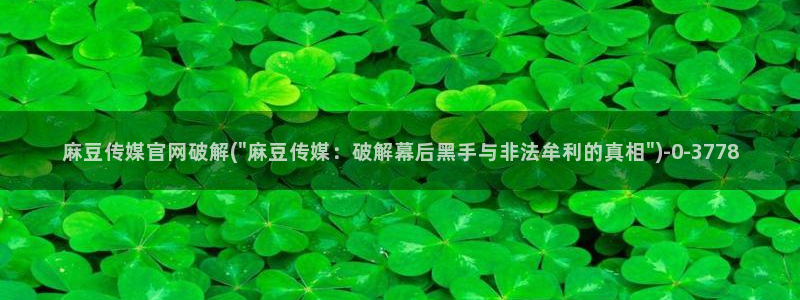 麻豆传媒官网2997577Z空间：麻豆传媒官网破解(\
