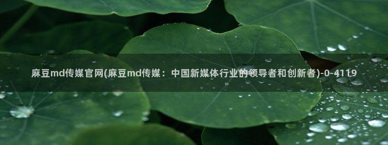 麻豆传媒直播官网苹果：麻豆md传媒官网(麻豆md传媒：中国新媒体行业的领导者和创新者)
