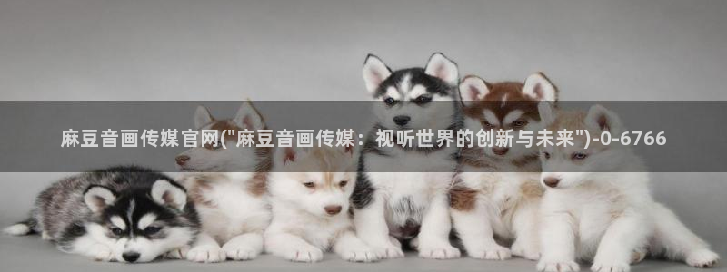 麻豆娱乐文化传媒官网：麻豆音画传媒官网(\
