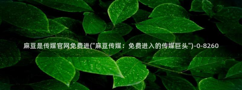 麻豆传媒手机官网：麻豆是传媒官网免费进(\