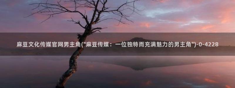 麻豆传媒官网入囗