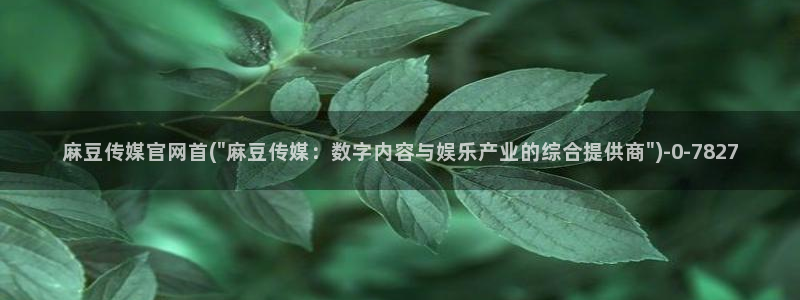 麻豆传媒下载官网入口：麻豆传媒官网首(\